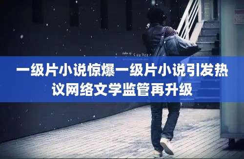 一级片小说惊爆一级片小说引发热议网络文学监管再升级
