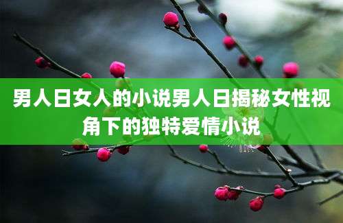 男人日女人的小说男人日揭秘女性视角下的独特爱情小说