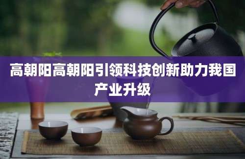 高朝阳高朝阳引领科技创新助力我国产业升级