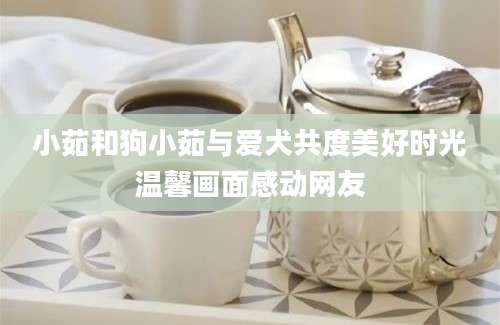 小茹和狗小茹与爱犬共度美好时光温馨画面感动网友