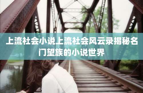 上流社会小说上流社会风云录揭秘名门望族的小说世界