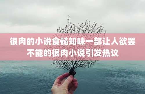 很肉的小说食髓知味一部让人欲罢不能的很肉小说引发热议