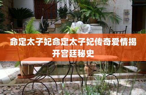 命定太子妃命定太子妃传奇爱情揭开宫廷秘史