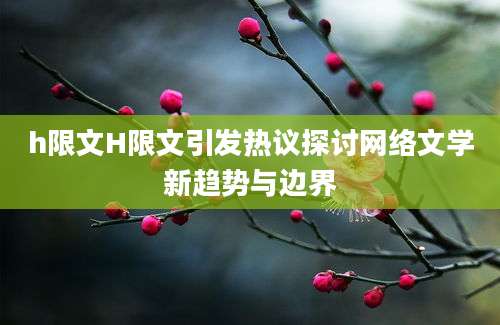 h限文H限文引发热议探讨网络文学新趋势与边界