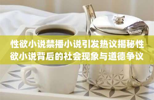 性欲小说禁播小说引发热议揭秘性欲小说背后的社会现象与道德争议