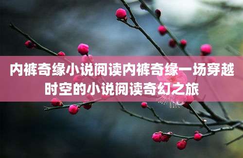 内裤奇缘小说阅读内裤奇缘一场穿越时空的小说阅读奇幻之旅