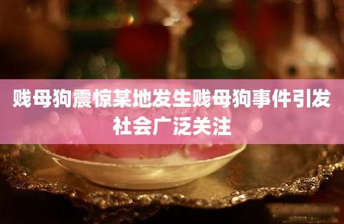 贱母狗震惊某地发生贱母狗事件引发社会广泛关注