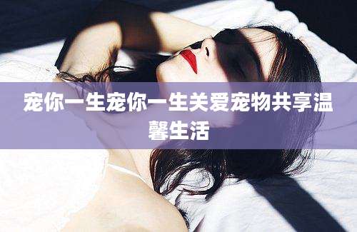 宠你一生宠你一生关爱宠物共享温馨生活