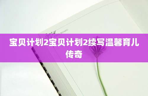 宝贝计划2宝贝计划2续写温馨育儿传奇