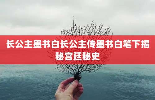 长公主墨书白长公主传墨书白笔下揭秘宫廷秘史