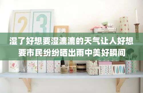 湿了好想要湿漉漉的天气让人好想要市民纷纷晒出雨中美好瞬间