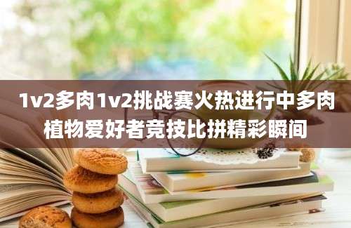 1v2多肉1v2挑战赛火热进行中多肉植物爱好者竞技比拼精彩瞬间