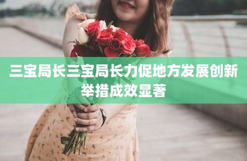 三宝局长三宝局长力促地方发展创新举措成效显著