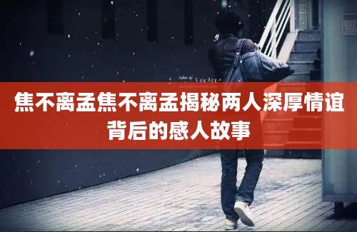 焦不离孟焦不离孟揭秘两人深厚情谊背后的感人故事