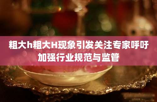 粗大h粗大H现象引发关注专家呼吁加强行业规范与监管