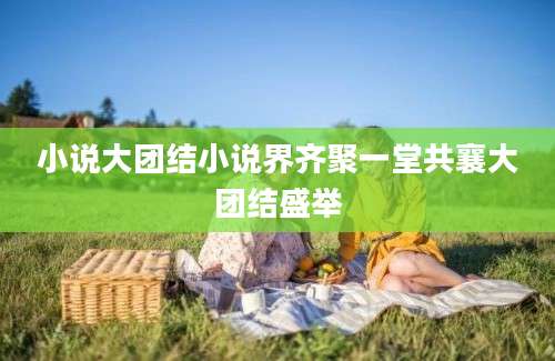 小说大团结小说界齐聚一堂共襄大团结盛举