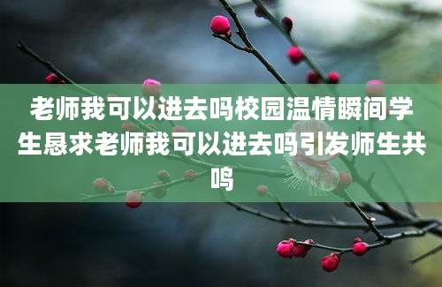 老师我可以进去吗校园温情瞬间学生恳求老师我可以进去吗引发师生共鸣