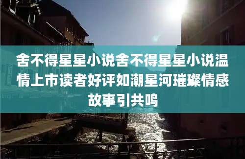 舍不得星星小说舍不得星星小说温情上市读者好评如潮星河璀璨情感故事引共鸣