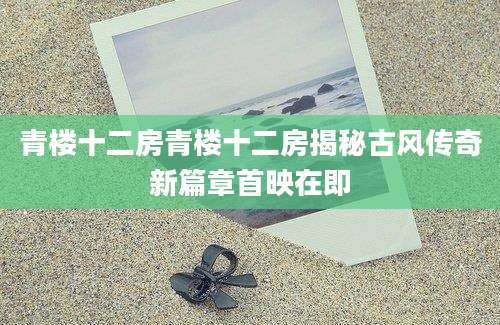 青楼十二房青楼十二房揭秘古风传奇新篇章首映在即