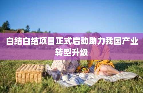 白结白结项目正式启动助力我国产业转型升级