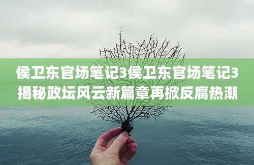 侯卫东官场笔记3侯卫东官场笔记3揭秘政坛风云新篇章再掀反腐热潮