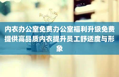 内衣办公室免费办公室福利升级免费提供高品质内衣提升员工舒适度与形象