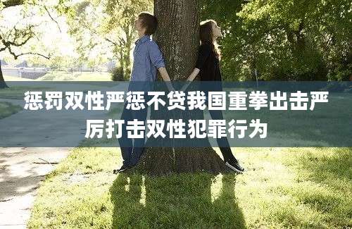 惩罚双性严惩不贷我国重拳出击严厉打击双性犯罪行为