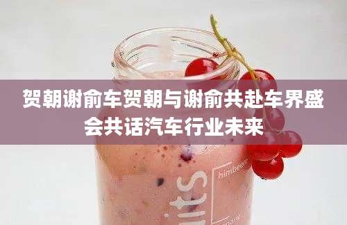 贺朝谢俞车贺朝与谢俞共赴车界盛会共话汽车行业未来