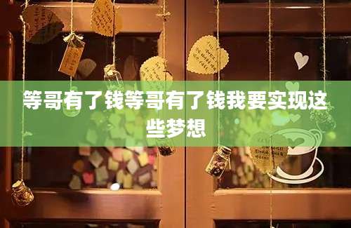 等哥有了钱等哥有了钱我要实现这些梦想