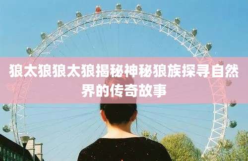 狼太狼狼太狼揭秘神秘狼族探寻自然界的传奇故事