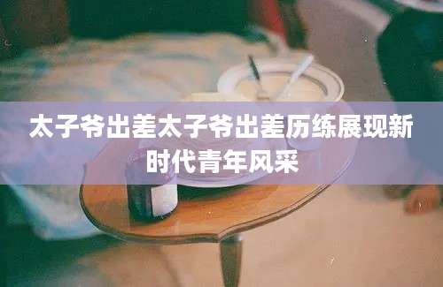 太子爷出差太子爷出差历练展现新时代青年风采