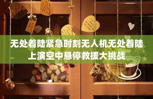 无处着陆紧急时刻无人机无处着陆上演空中悬停救援大挑战