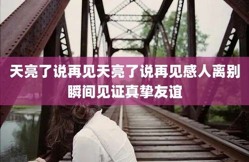天亮了说再见天亮了说再见感人离别瞬间见证真挚友谊
