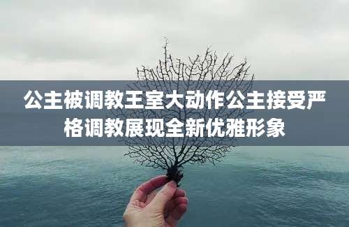 公主被调教王室大动作公主接受严格调教展现全新优雅形象