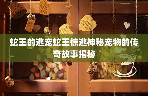 蛇王的逃宠蛇王惊逃神秘宠物的传奇故事揭秘