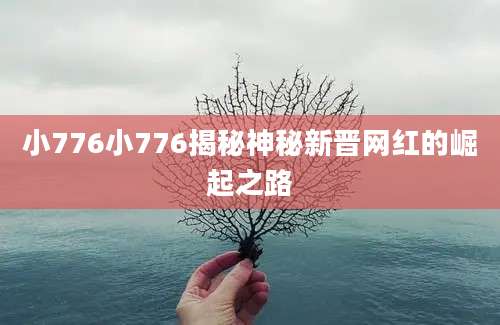 小776小776揭秘神秘新晋网红的崛起之路