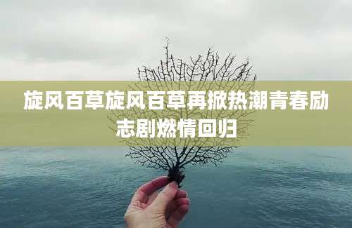 旋风百草旋风百草再掀热潮青春励志剧燃情回归
