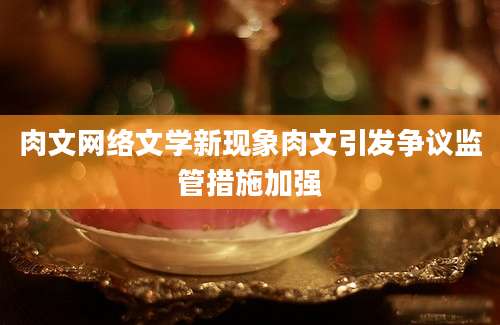 肉文网络文学新现象肉文引发争议监管措施加强