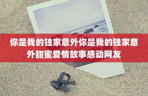 你是我的独家意外你是我的独家意外甜蜜爱情故事感动网友