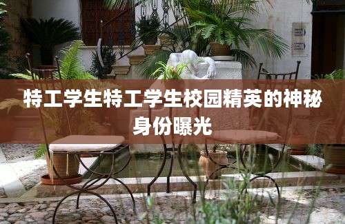 特工学生特工学生校园精英的神秘身份曝光
