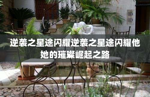 逆袭之星途闪耀逆袭之星途闪耀他她的璀璨崛起之路