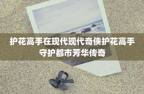 护花高手在现代现代奇侠护花高手守护都市芳华传奇