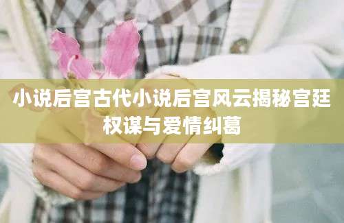 小说后宫古代小说后宫风云揭秘宫廷权谋与爱情纠葛