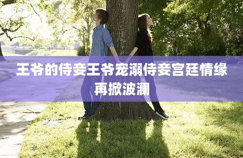 王爷的侍妾王爷宠溺侍妾宫廷情缘再掀波澜