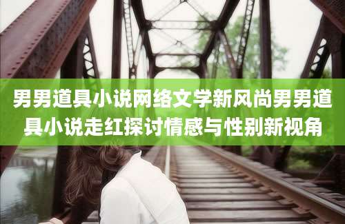 男男道具小说网络文学新风尚男男道具小说走红探讨情感与性别新视角