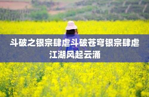 斗破之银宗肆虐斗破苍穹银宗肆虐江湖风起云涌