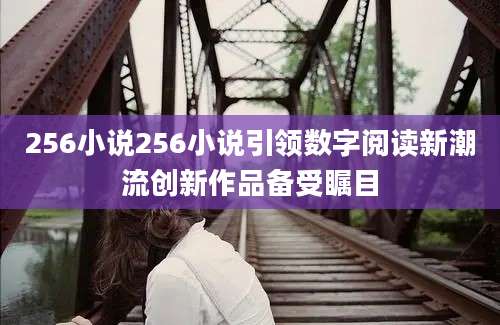 256小说256小说引领数字阅读新潮流创新作品备受瞩目
