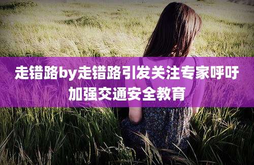 走错路by走错路引发关注专家呼吁加强交通安全教育