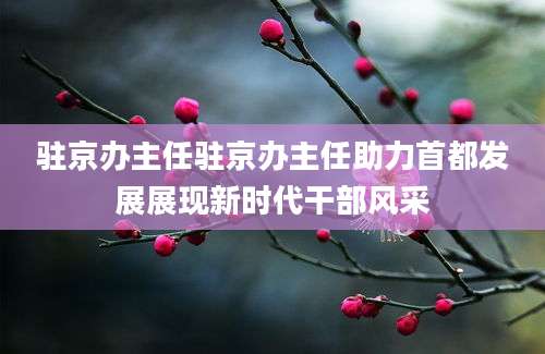 驻京办主任驻京办主任助力首都发展展现新时代干部风采