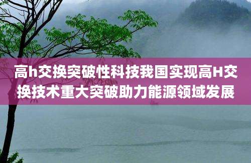 高h交换突破性科技我国实现高H交换技术重大突破助力能源领域发展